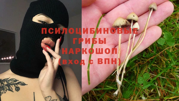 не бодяженный Алзамай