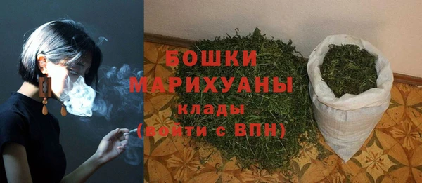 ешки Арсеньев