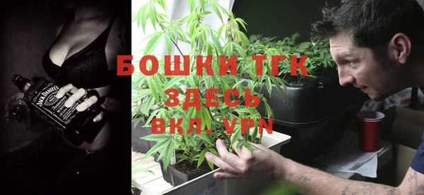 ешки Арсеньев